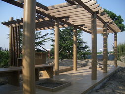 廣州同欣 木塑型材賦能康體設備，引領綠色運動新潮流